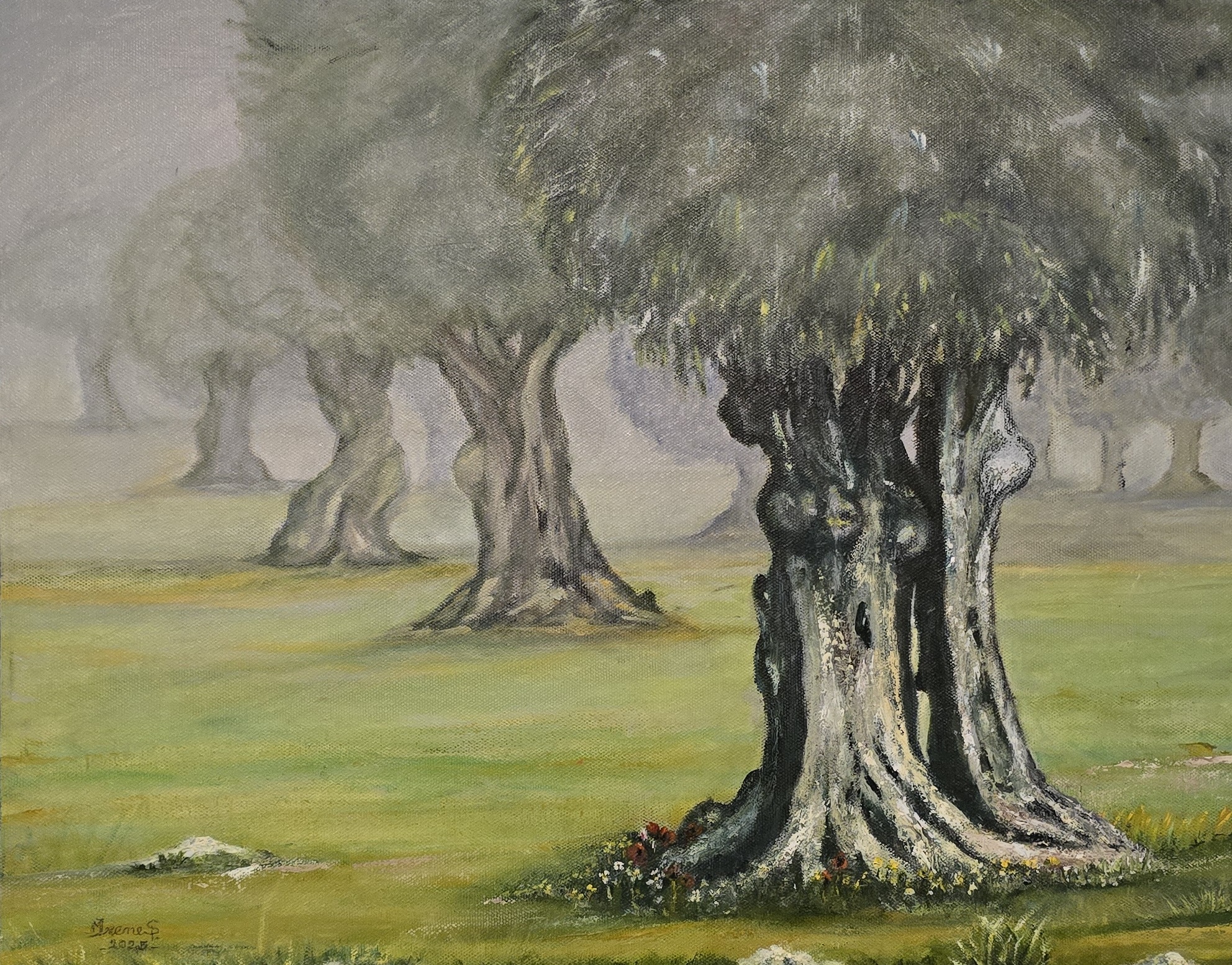 NEBLINA AO AMANHECER